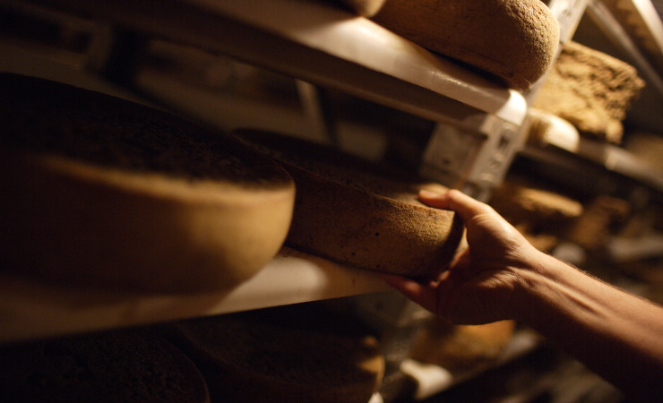 Img_057 formaggi.jpg