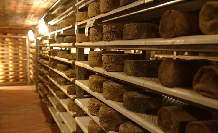 Img_037 formaggi.jpg