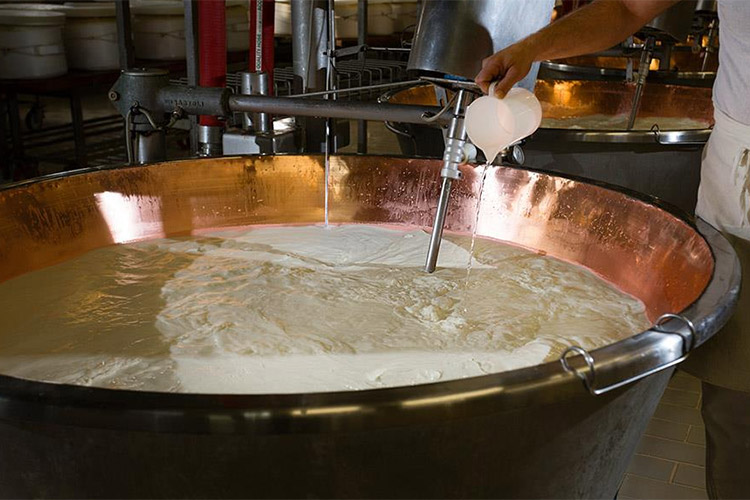 grana-padano-lavorazione.jpg