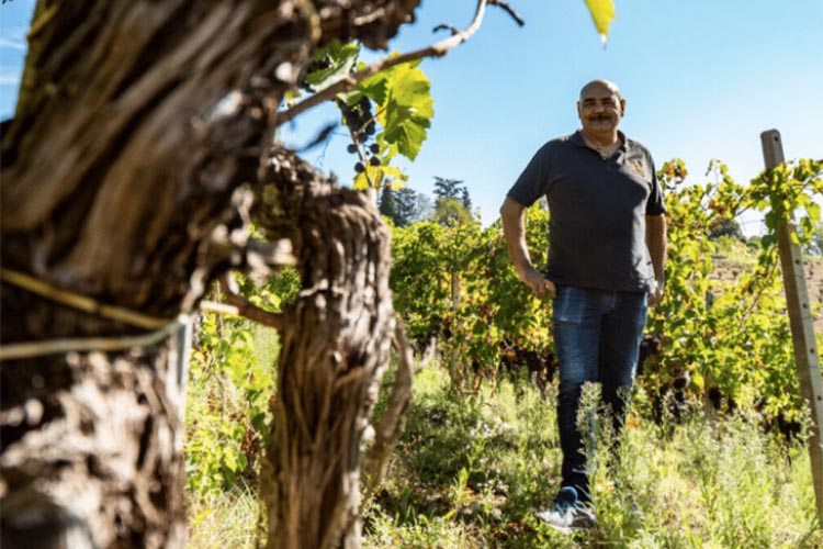 franco cavallero.jpg