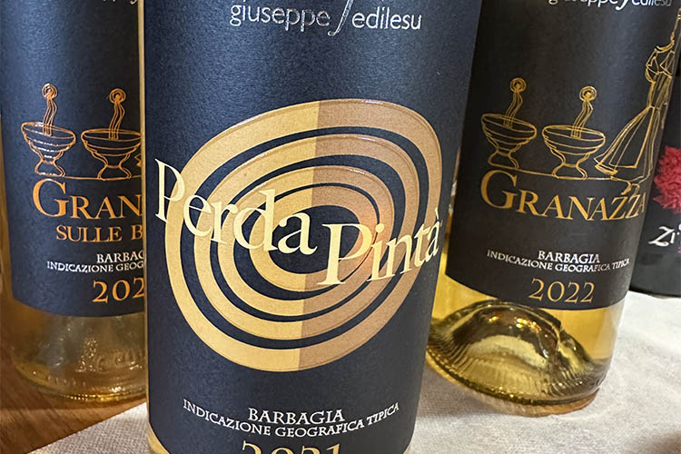 Perda Pinta copia.jpg