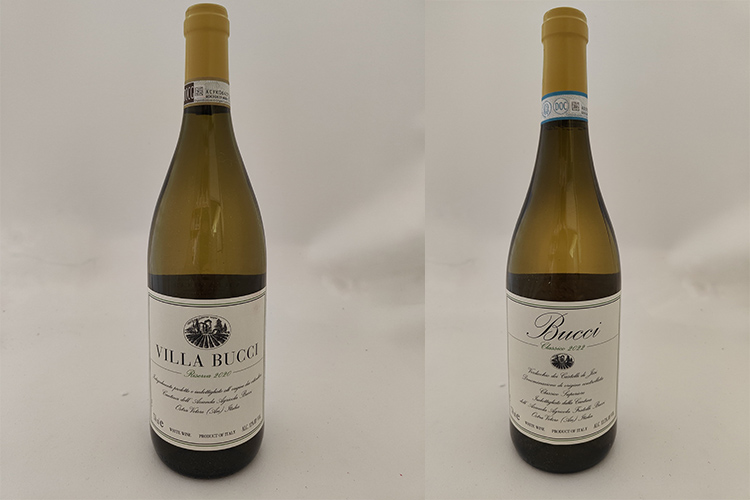 bucci-verdicchi.jpg