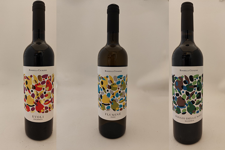 rossella cicalese.jpg