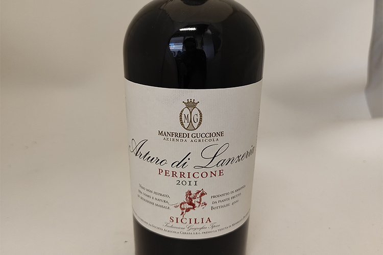 manfredi-guccione perriccone 2011.jpg