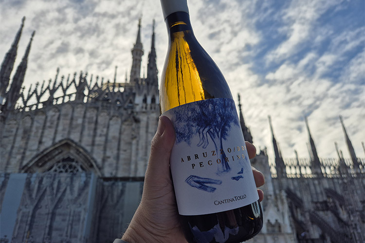 tollo-barone rampante.jpg