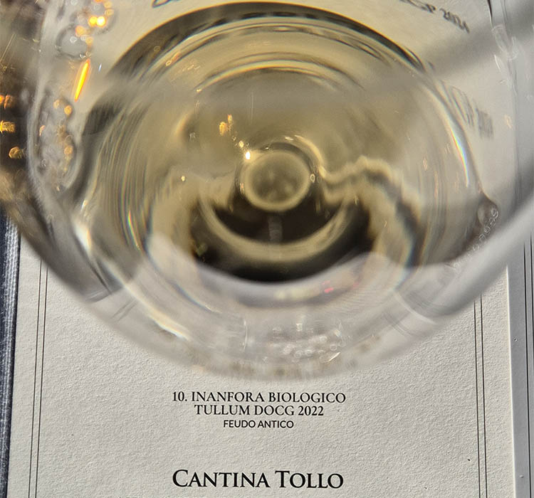 tollo-pecorino in anfora.jpg