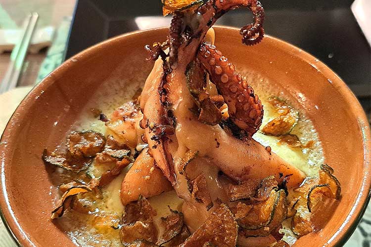 panacea - Polpo copia.jpg