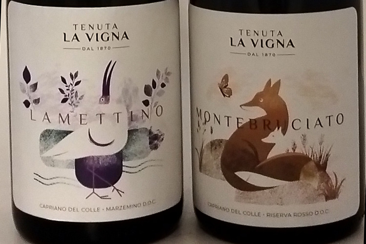 tenuta la vigna-lamettino torrebruciata.jpg