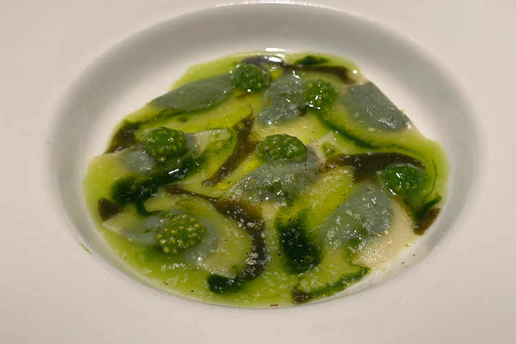 raviolo borraggine.jpg