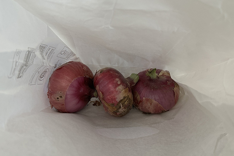 cipolle.jpg