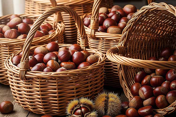 castagne-cestini.jpg