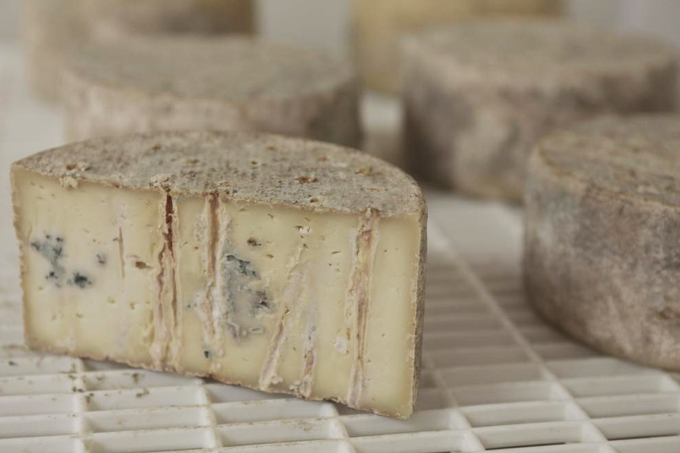 capra e panca copia.jpg