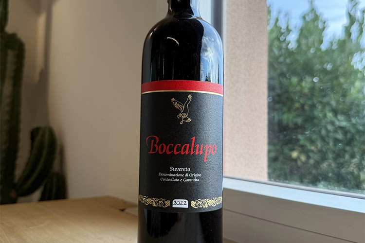 falcone-boccalupo copia.jpg