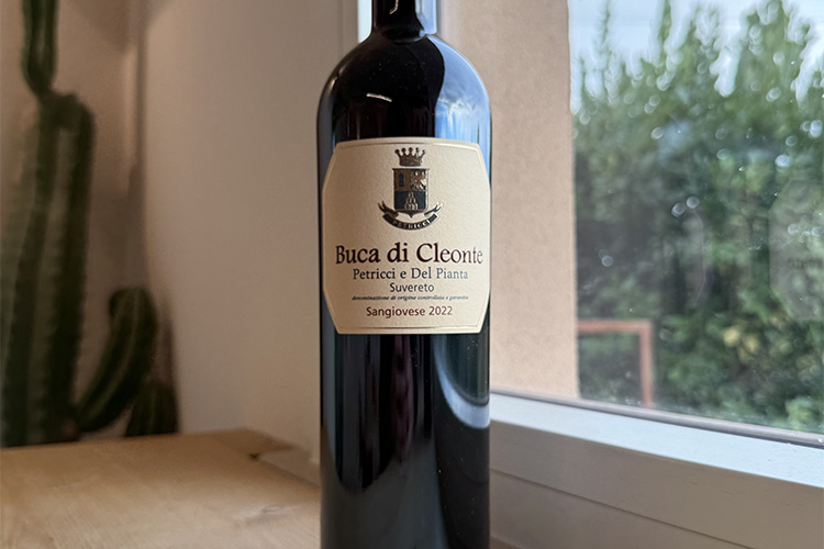 petricci-cleonte copia.jpg