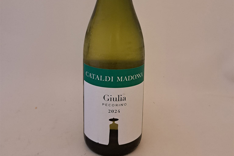 cataldi madonna-giulia copia.jpg