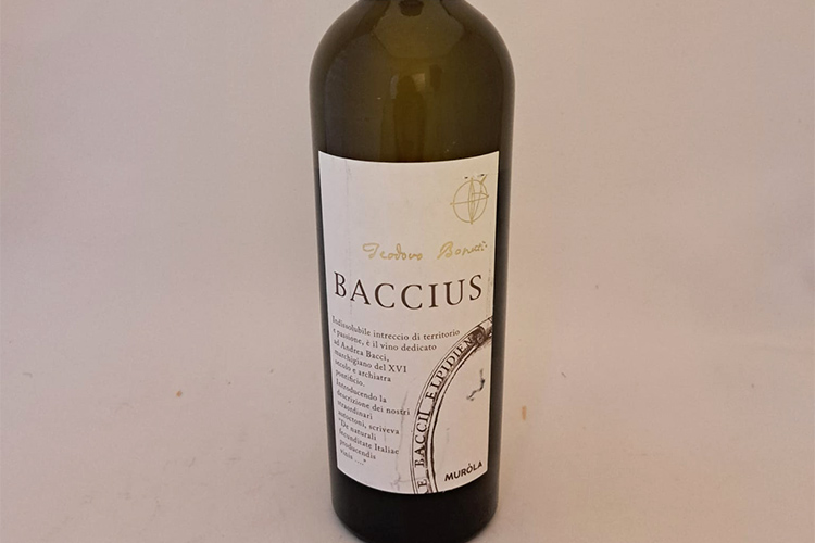 murola-baccius copia.jpg