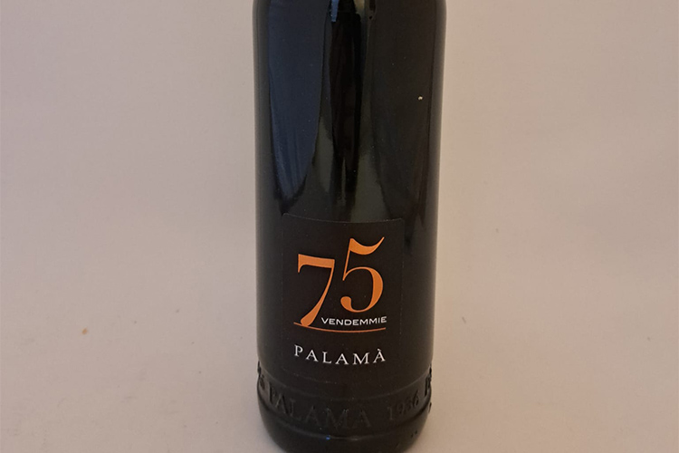 palama 75 copia.jpg