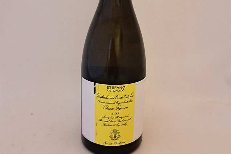 stefano antonucci copia.jpg