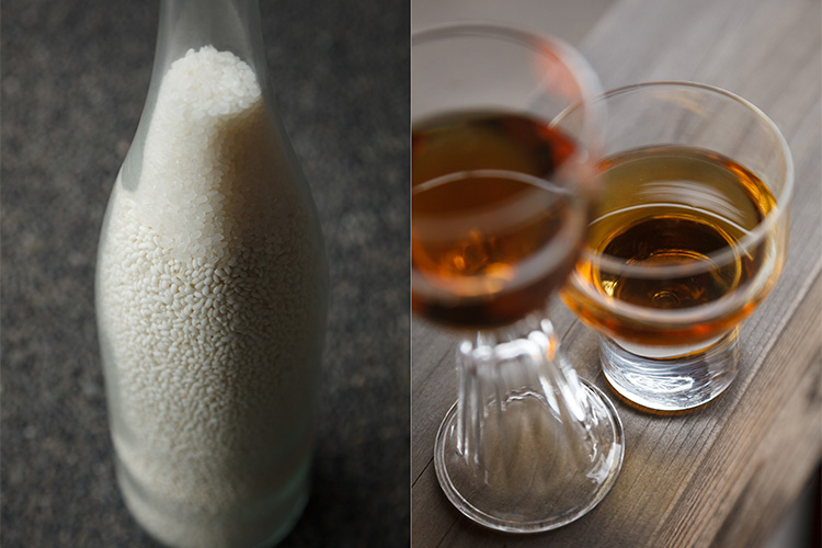 ph10 ph 11 copia.jpg