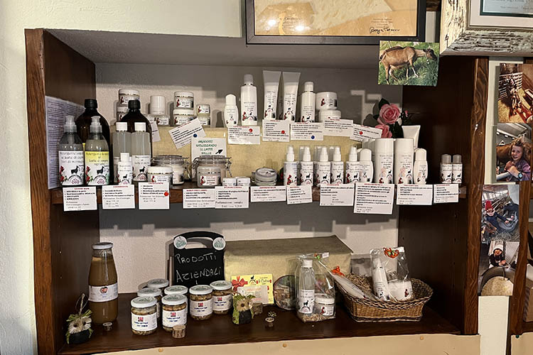 prodotti cosmesi.jpg