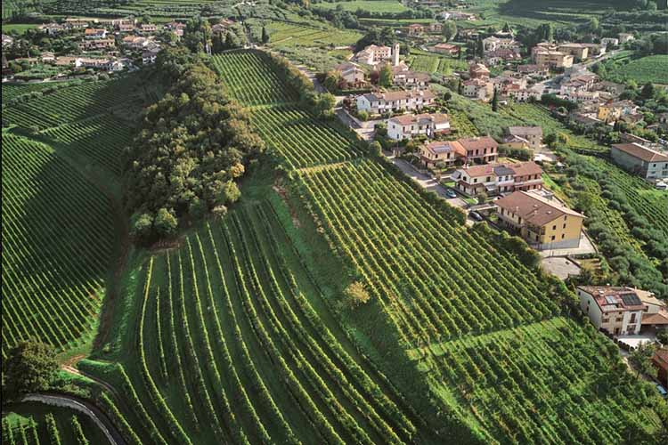 paese-vigne.jpg