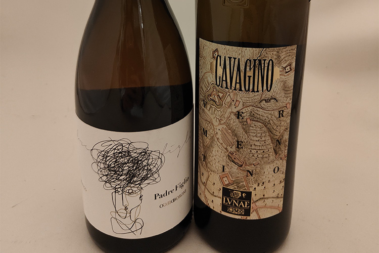 lunae bosoni-cavagino_padre.jpg