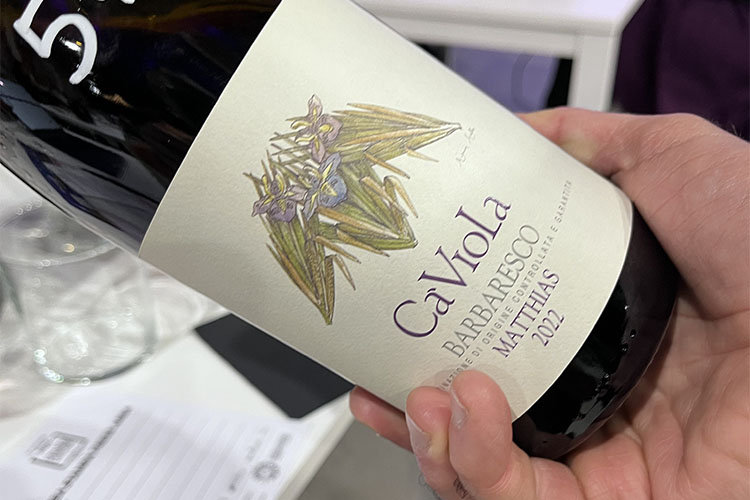 ca viola-matthias.jpg