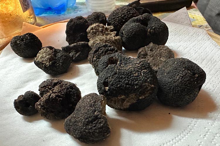 tartufi neri.jpg