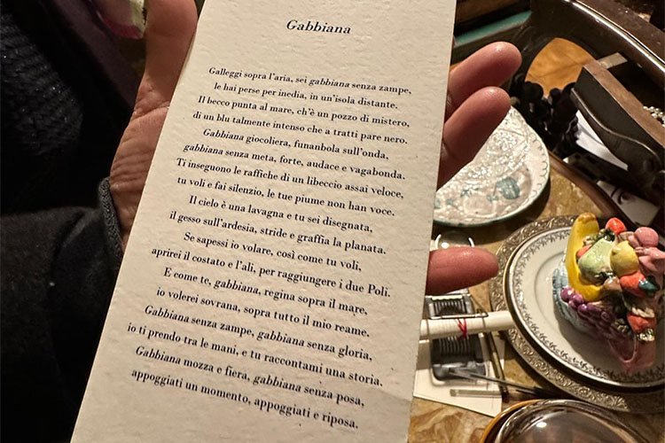poesia-gabbiana.jpg