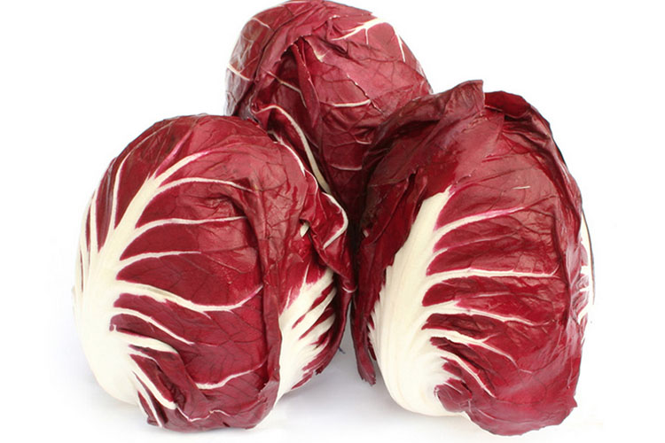 radicchio di verona.jpg