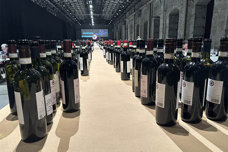 tutte le bottiglie.jpg