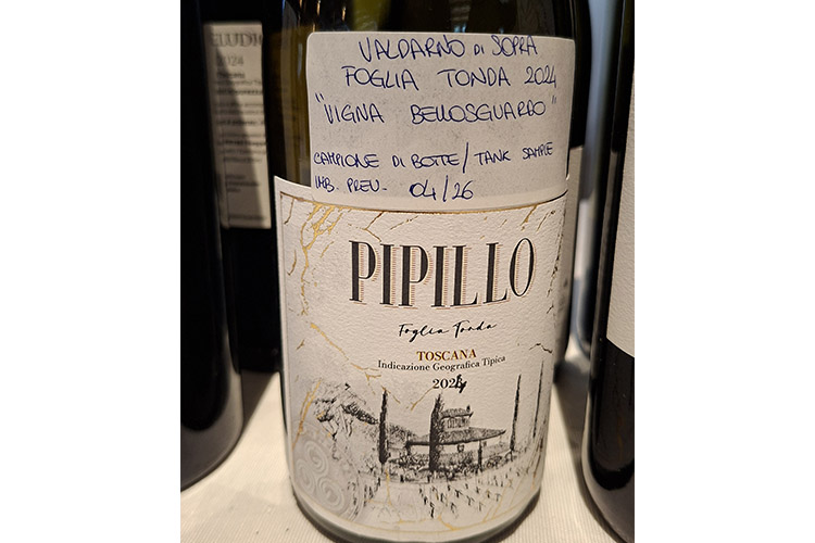 bellosguardo copia.jpg