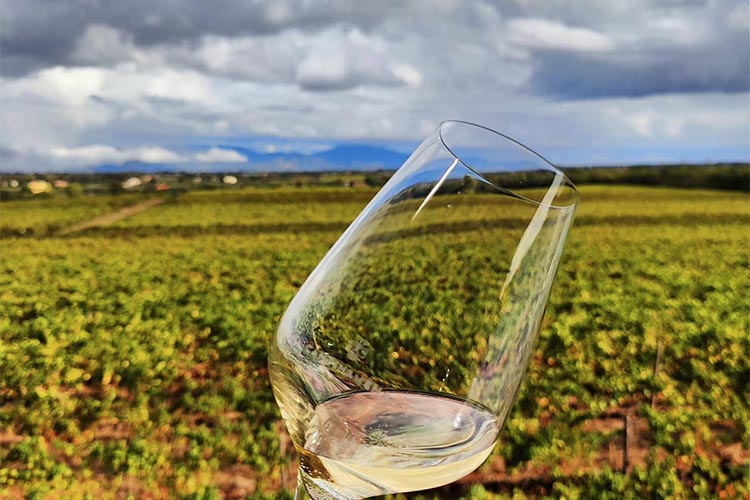 bicchiere vino bianco.jpg