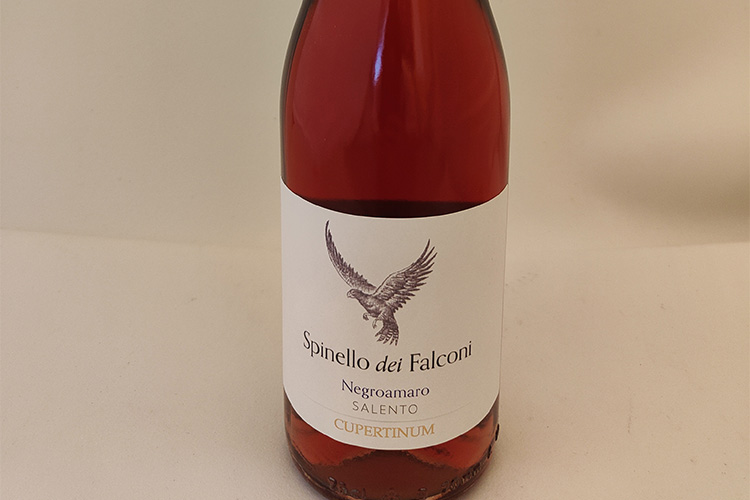 copertinum-spinello copia.jpg