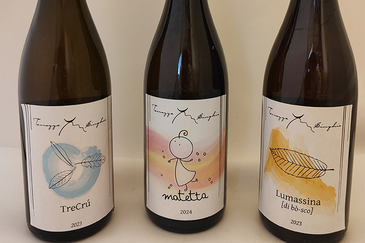 terrazze singhie copia.jpg