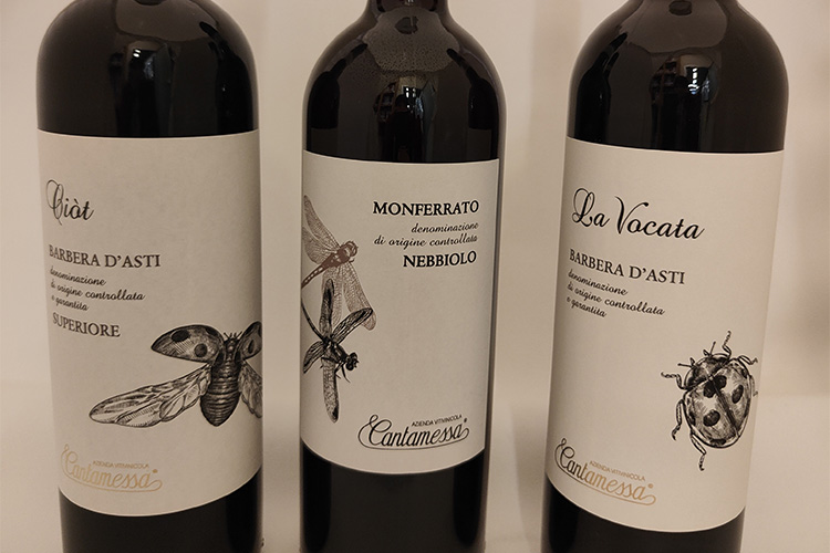 cantamessa-ciot-vocata-nebbiolo copia.jpg