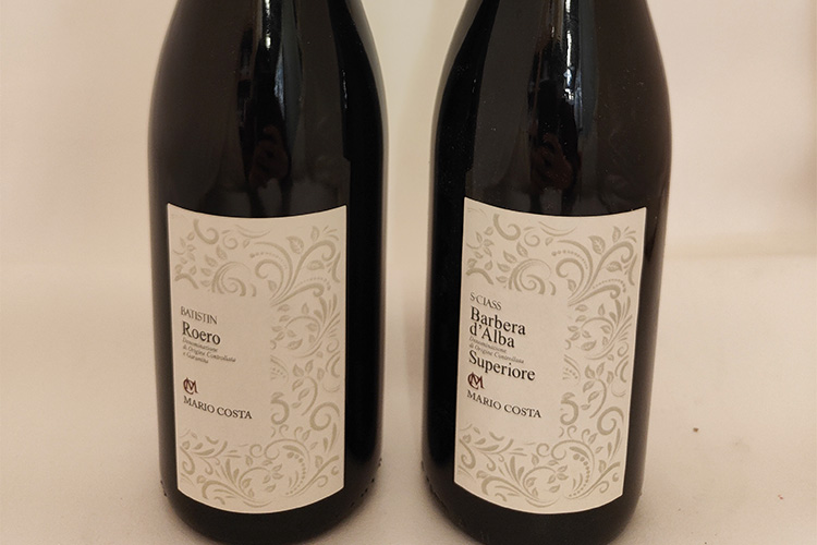 mario costa copia.jpg