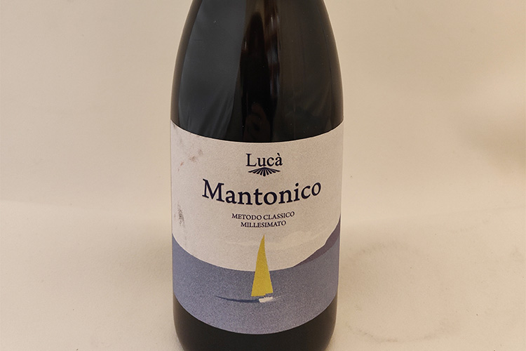 luca-mantonico copia.jpg