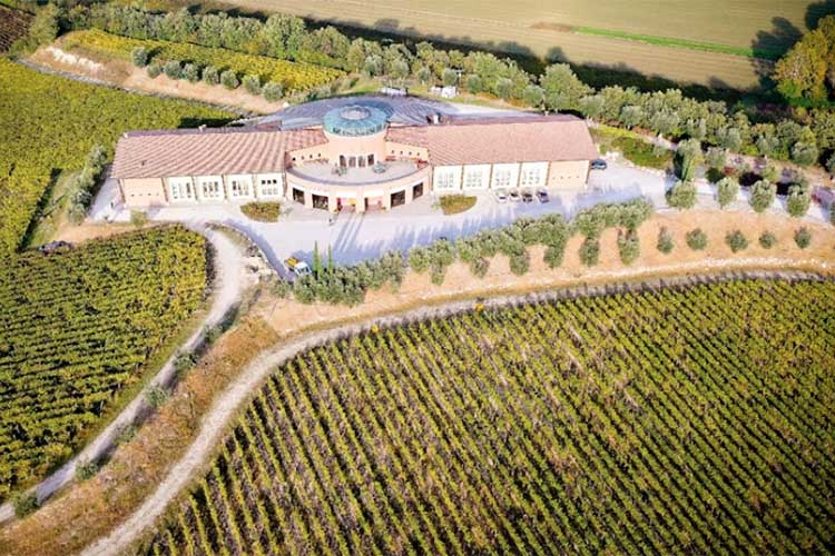 azienda-drone.jpg