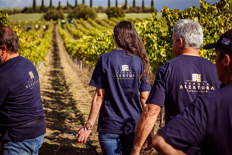 alzatura_vendemmia.jpg