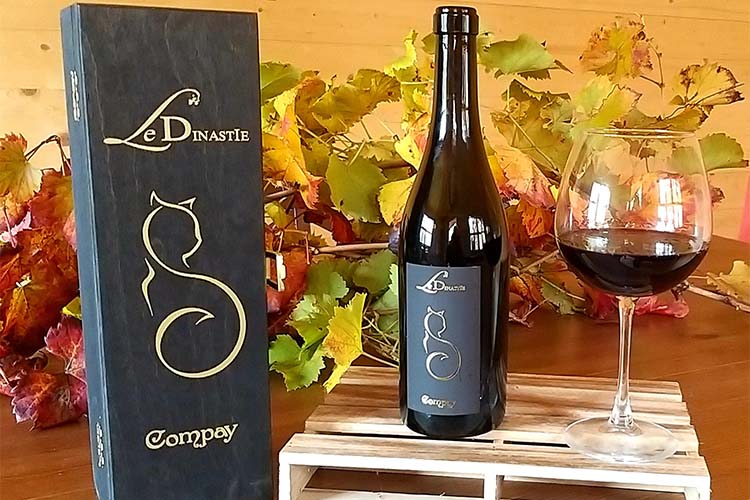 dinastie-compay.jpg