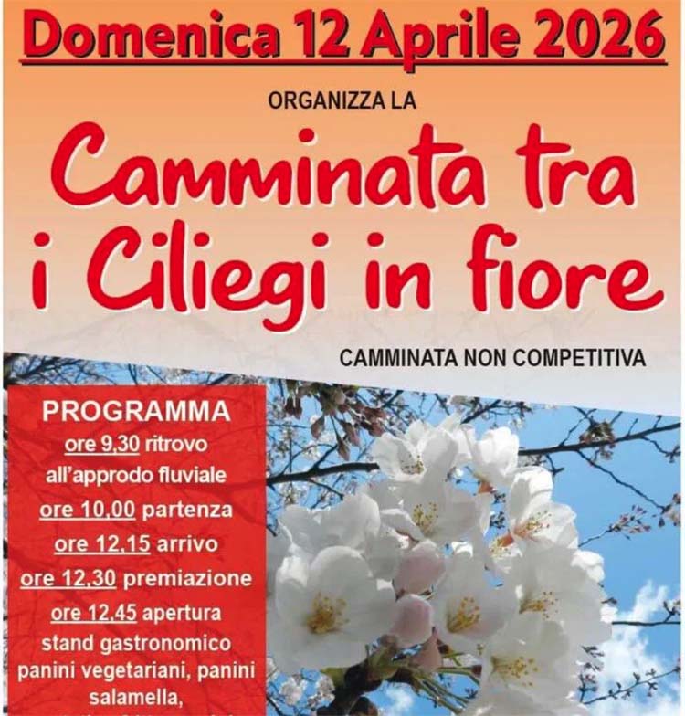 camminata ciliegi in fiore.jpg