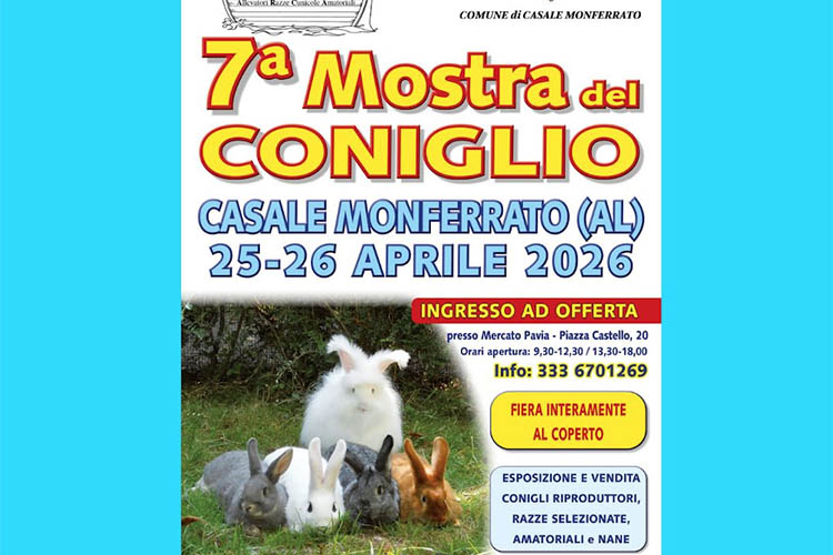 mostra del coniglio.jpg