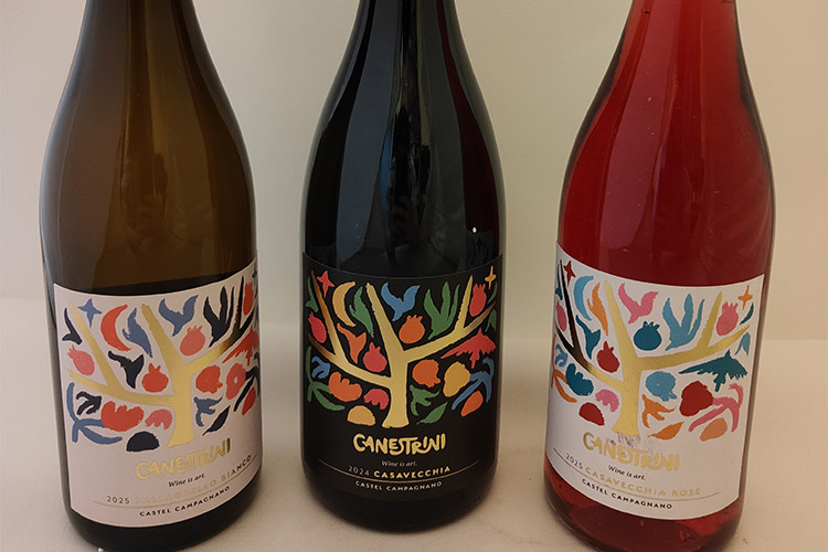 canestrini copia.jpg