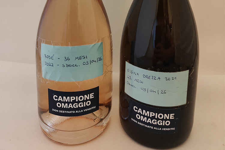 grumello vigna drezza 2021-rose.jpg