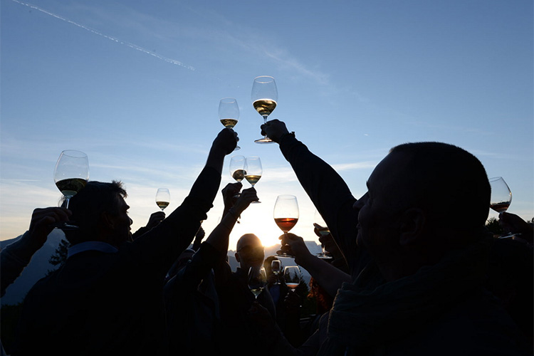 wine experience.jpg