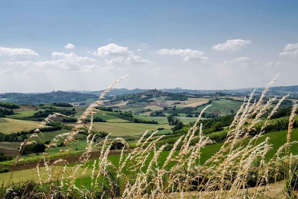 Monferrato paesaggio.jpg