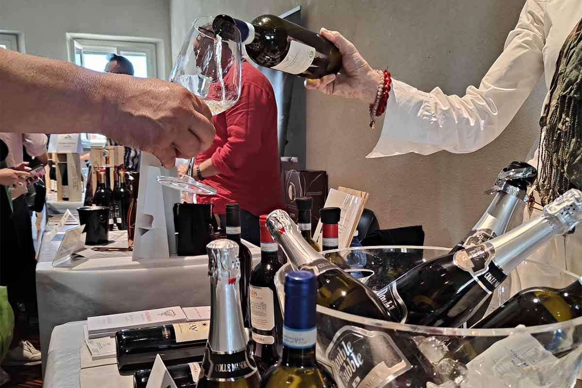WINE copia.jpg