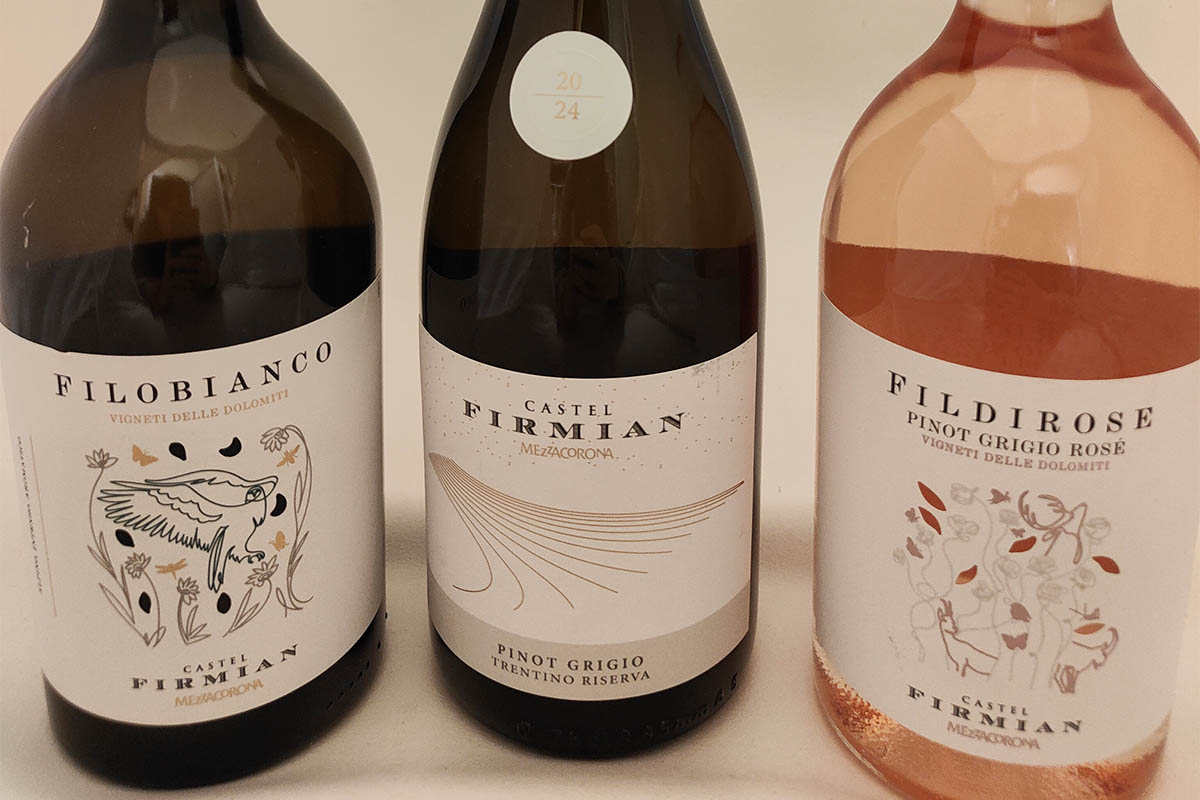 castel firmian-filobianoc- pinot - filorose.jpg