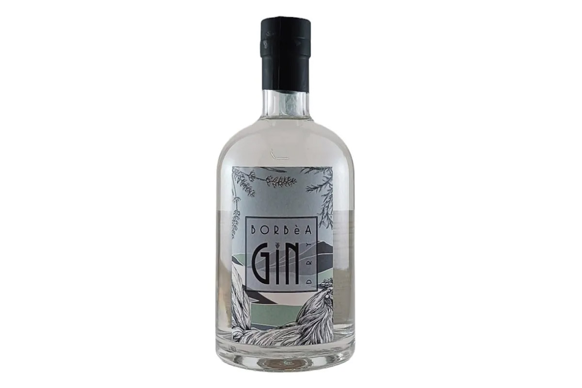 GIN.jpg